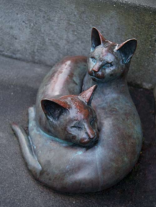 Cats