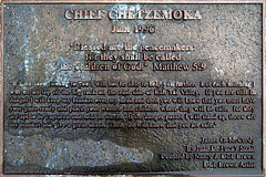plaque